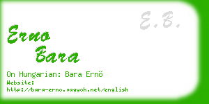 erno bara business card
